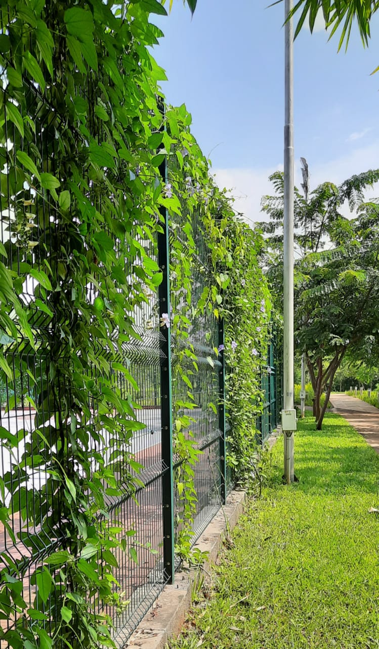 Need of Fencing Solutions